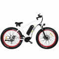 Fat Tire Electric Bike Lithium Power Bike with Pedal